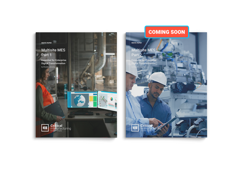 WP_Multisite MES_EN_1100x764_part 1_3