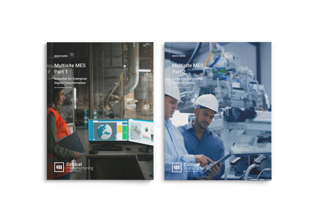 WP_MultisiteMES_Part2_1100x764